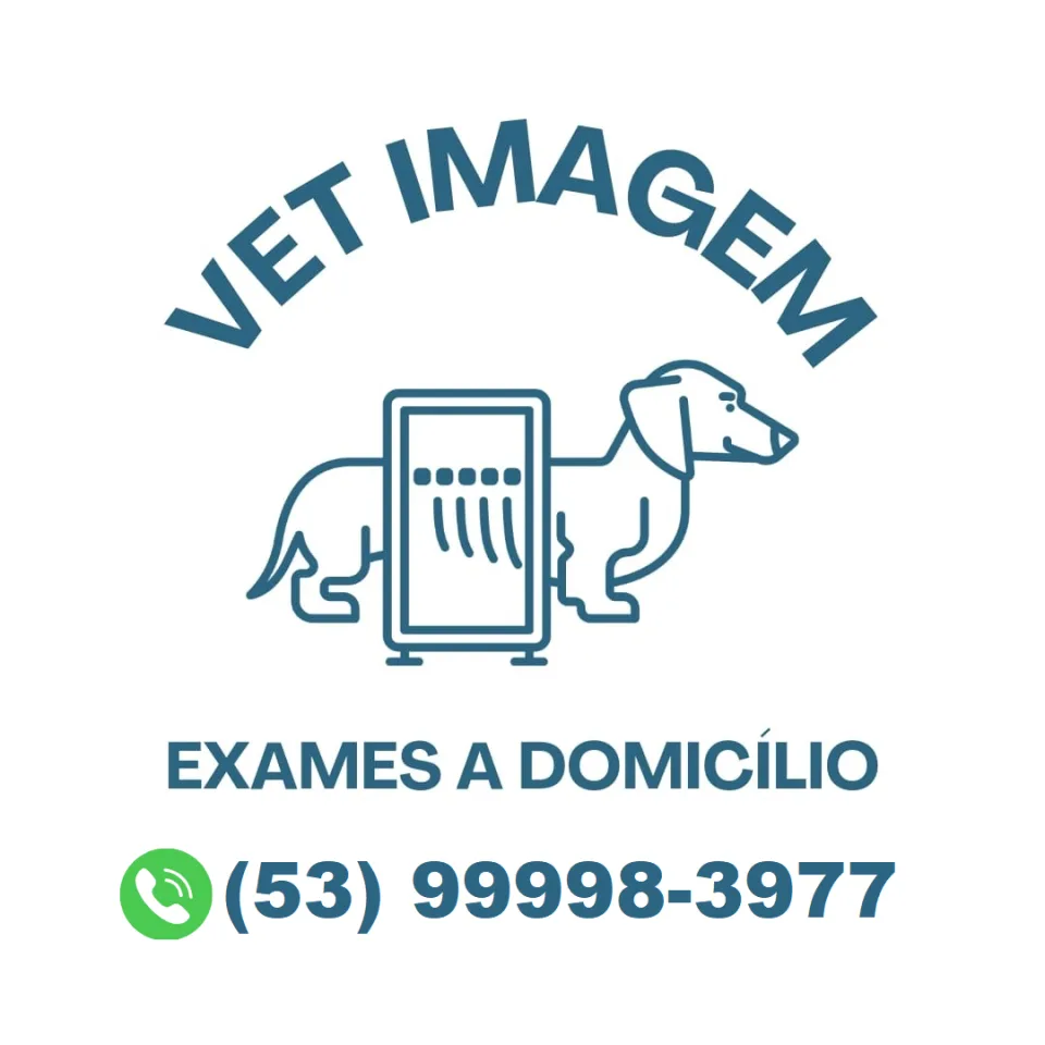 VetImagem: raio-x e ultrassom a domicílio