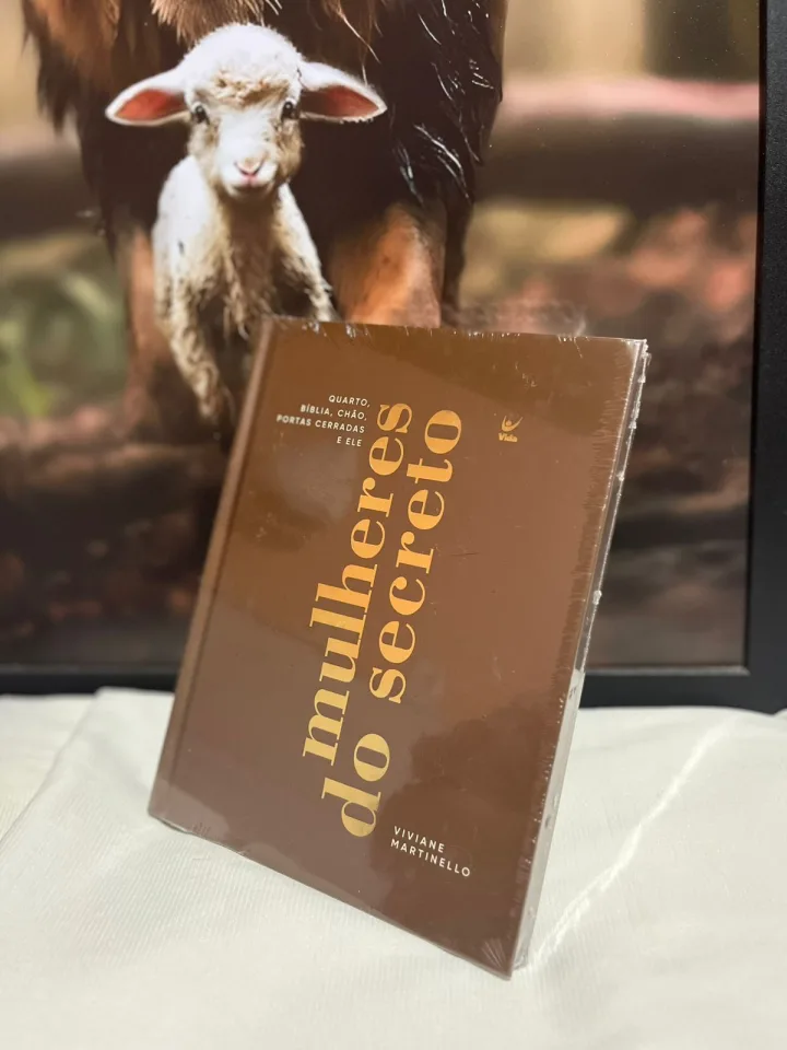 Livro Mulheres do secreto da Viviane Martinello.