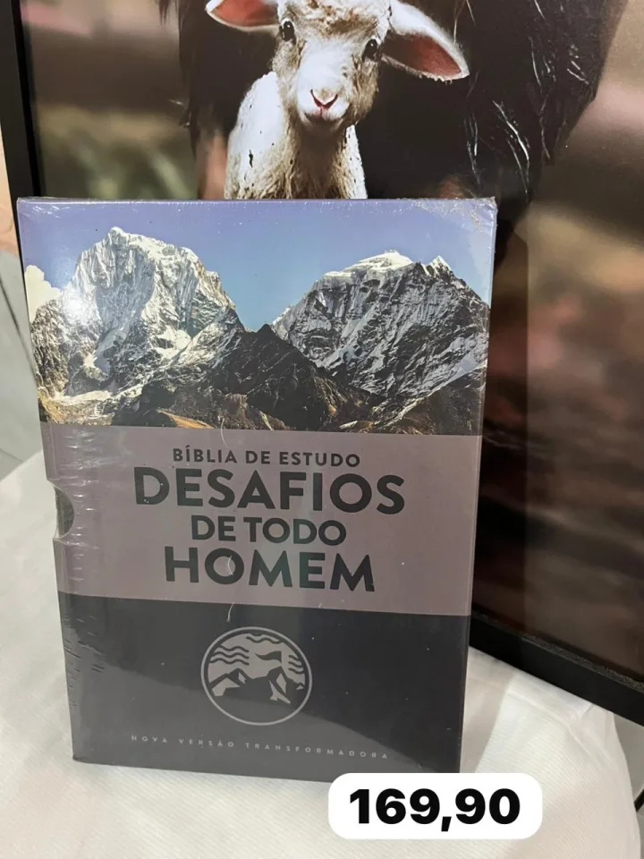 Bíblia de estudos desafios de todo homem.